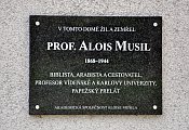 Otryby  pamtn deska Aloise Musila