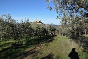 Assisi  Rocca Maggiore od JV