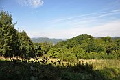 Leština – pohled na vrch od okraje lesa při přístupu od Velkého Března