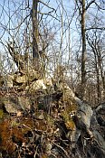 Olomučany – Čertův hrádek – zbytky zdiva v nejvyšším místě