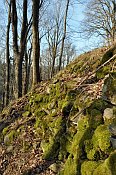 Lazurová hora – zbytky zdiva ve svahu SZ pod hradem