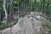 Rýsov – Čertův kámen – na vrcholu skalky