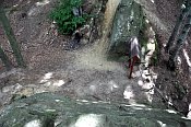 Rýsov – Čertův kámen – pohled z vrcholu skalky k příkopu