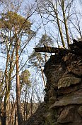 Sedlecký hrad – zbytky zdiva nad příkopem