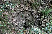 Hrádek u Lanšperka – pseudokrasová jeskyně v předpolí