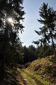 Sviňomazský hrádek – lesní cesta vedoucí příkopem mezi předhradím a valem