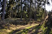 Sviňomazský hrádek – lesní cesta mezi valem (vpravo) a předhradím