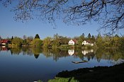 Mnichovice – tvrziště přes rybník od V