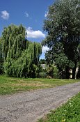 Vlčice – zámecký park
