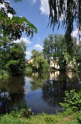 Vlčice – zámecký rybník