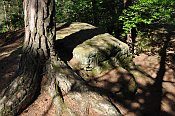Helfenburk – vrchol skalní plošiny JV od hradu