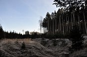 Stoupec – tvrziště je v zimě i v poledne ukryté ve stínu lesa