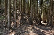 ilperk  Krglerswald  relif na SZ