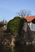Štěpánovice – torzo zdiva jižně pod tvrzí