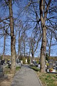 Dambořice – hřbitov v centrální části tvrziště