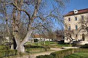Benátky nad Jizerou – zámecký park