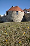 Louny – bašta na SZ straně (restaurace)