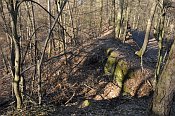 Velké Březno – pohled z hradu na severní výběžek opevnění