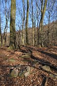 Velké Březno – jižní část hradu