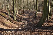 Velké Březno – jižní část hradu