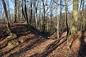 Velké Březno – jižní část hradu