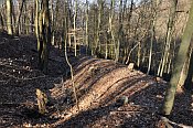 Velké Březno – jižní část hradu