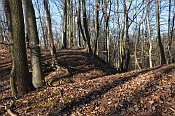 Velké Březno – jižní část hradu
