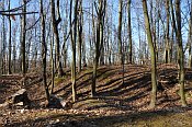 Velké Březno – jižní část hradu