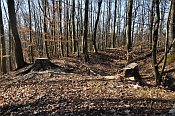 Velké Březno – jižní část hradu