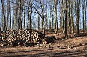 Velké Březno – pohled z rozcestí pod hradem