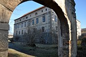 Stvolnky