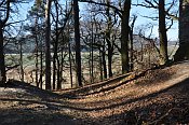 Milčany – Vítkovec – téměř setřelý příkop