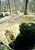 Řebřík