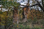 Drosendorf – Johanneskapelle Ruine