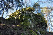 Rotenfels