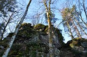 Rotenfels