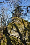 Rotenfels