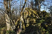 Rotenfels