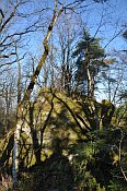 Rotenfels
