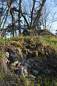 Rotenfels