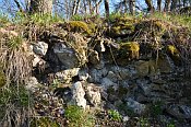Rotenfels