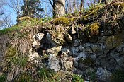 Rotenfels
