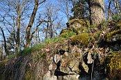 Rotenfels