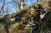 Rotenfels