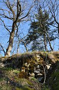 Rotenfels