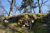Rotenfels