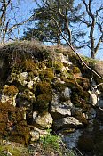 Rotenfels