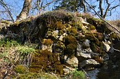 Rotenfels
