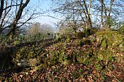 Rotenfels