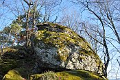 Rotenfels